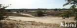 National Park Loonse en Drunense Duinen