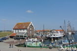 Texel