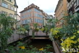 Colmar