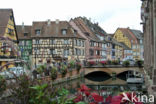 Colmar