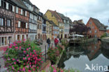 Colmar