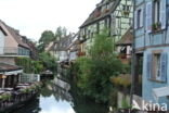 Colmar