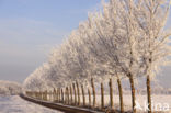 Gelderland