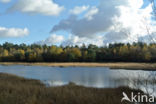 Kootwijkerveen