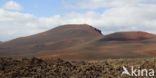 Lanzarote