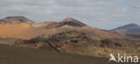 Lanzarote