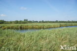 Nationaal Park De Alde Feanen