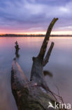 National Park de Biesbosch
