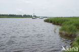 Nationaal Park Lauwersmeer