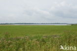National Park Lauwersmeer