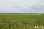 Nationaal Park Lauwersmeer