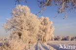 Ooijpolder