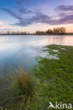 National Park de Biesbosch