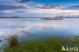 National Park de Biesbosch