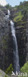 Fulufjället National Park