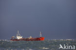 Maasvlakte