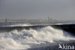 Maasvlakte