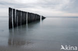 Noordzee