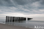 Noordzee