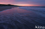 Noordzee