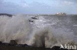 Tweede Maasvlakte