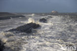 Tweede Maasvlakte