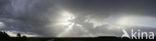 Ameland