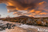 Dovrefjell National Park