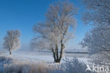 Nationaal Park Weerribben-Wieden