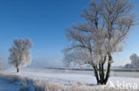 Nationaal Park Weerribben-Wieden