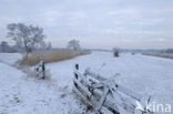 Nationaal Park Weerribben-Wieden