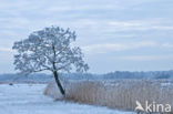 Nationaal Park Weerribben-Wieden