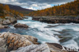 Reinheimen National Park