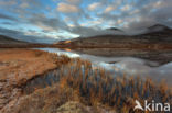 Rondane National Park