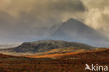 Rondane National Park