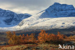 Rondane National Park