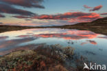 Rondane National Park