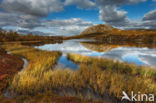 Rondane National Park