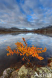 Rondane National Park