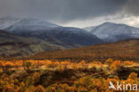 Rondane National Park