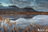 Rondane National Park