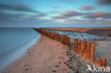 Wadden Sea