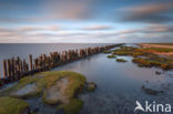 Wadden Sea