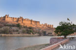 Amer Fort