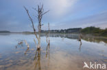 Nationaal Park Zuid-Kennemerland