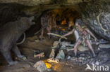 Neanderthal (Homo neanderthalensis)
