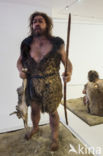 Neanderthaler (Homo neanderthalensis)