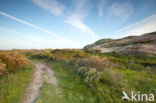 Noordhollands Duinreservaat