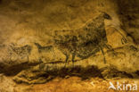 Aurochs (Bos primigenius primigenius)