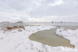 Rannoch Moor